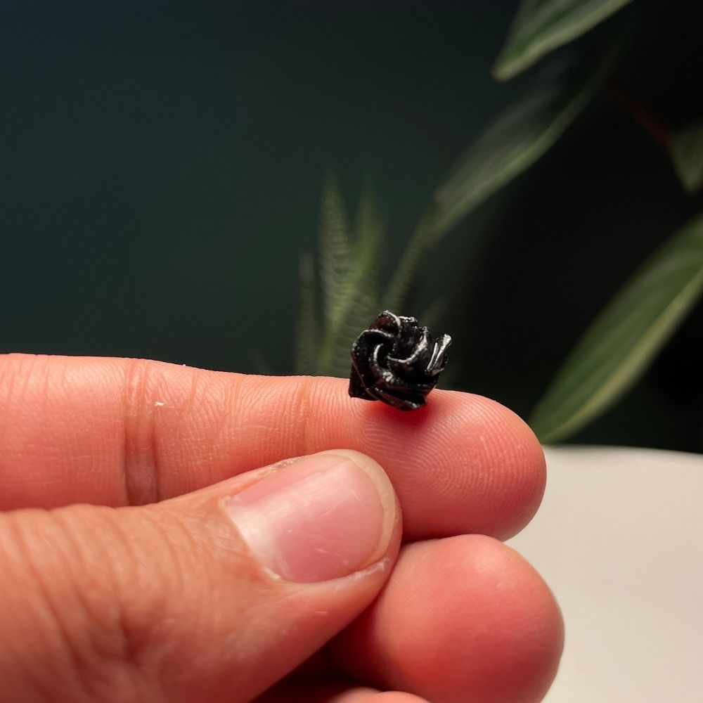 Arete Topo Rosa - Imagen 4