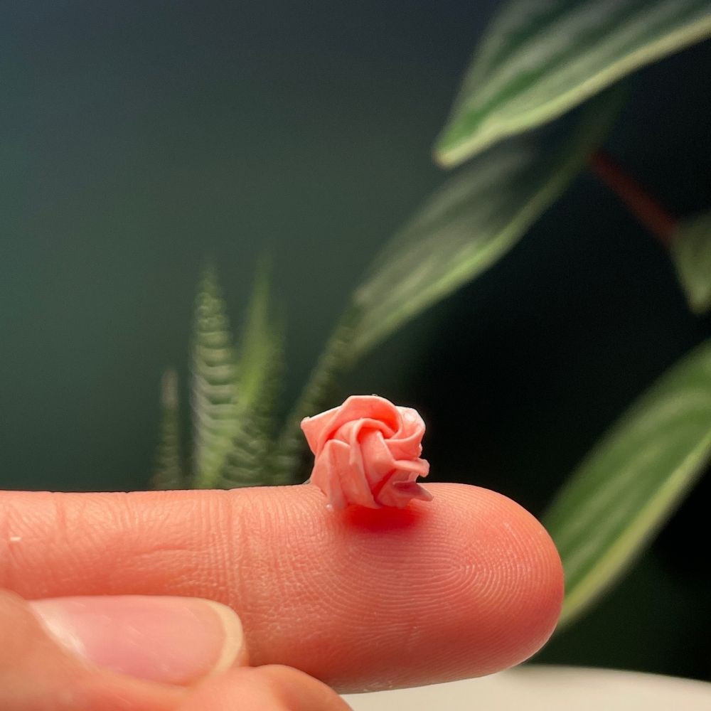 Arete Topo Rosa - Imagen 3