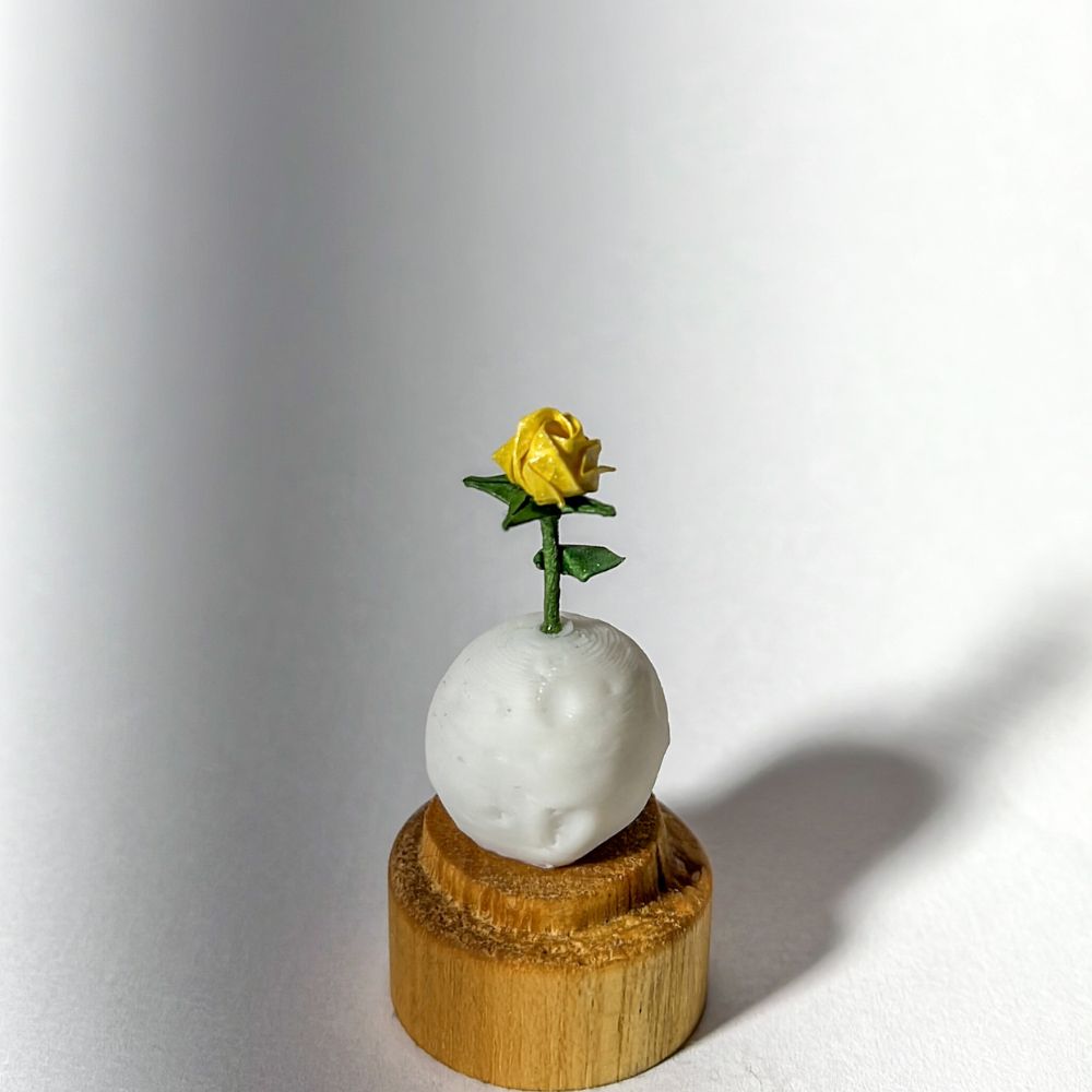 Rosa del Principito miniatura en origami con cúpula de vidrio y base de madera de Teca - Plicatorius Colombia.