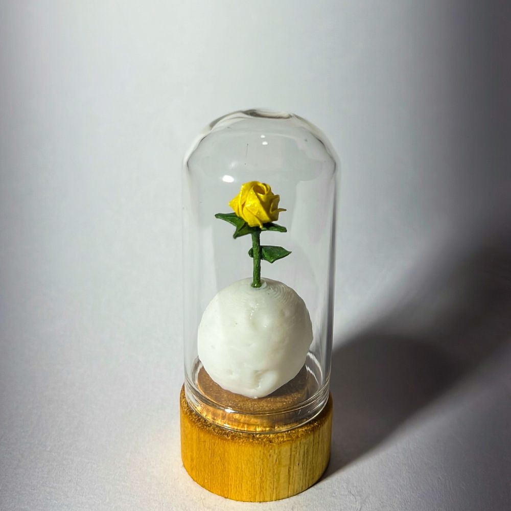 Rosa del Principito miniatura en origami con cúpula de vidrio y base de madera de Teca - Plicatorius Colombia.
