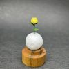 Rosa del Principito miniatura en origami con cúpula de vidrio y base de madera de Teca - Plicatorius Colombia.