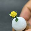 Rosa del Principito miniatura en origami con cúpula de vidrio y base de madera de Teca - Plicatorius Colombia.