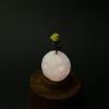 Mini lámpara de origami rosa del principito sobre luna iluminada con base de madera de teca - Plicatorius.